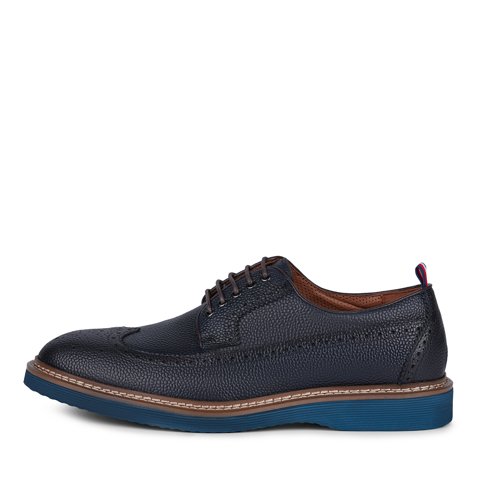 Броги Salamander